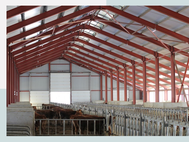 Строительство коровников в Курчатове