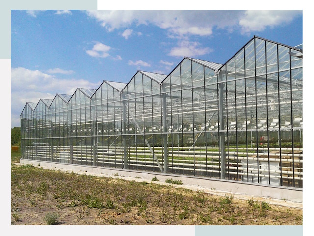 Строительство теплиц в Курчатов от 611 руб. за м²